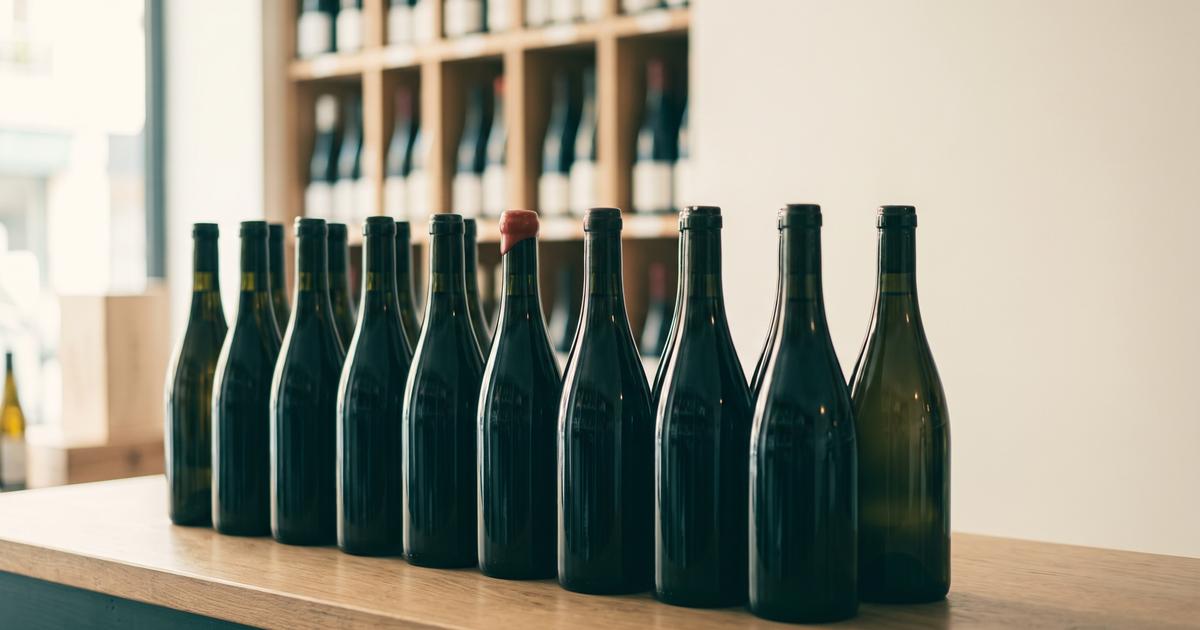 Une dizaine de bouteilles de vin sombres et sans étiquette alignées sur le comptoir en bois d'une cave, devant des rayonnages remplis de bouteilles